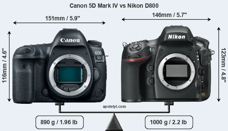 Size Canon 5D Mark IV vs Nikon D800