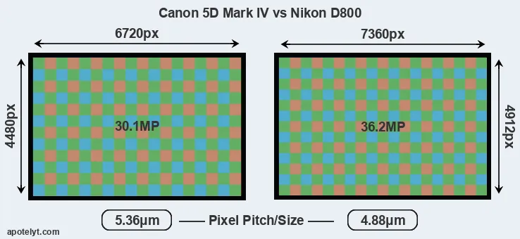 5D Mark IV versus D800 MP