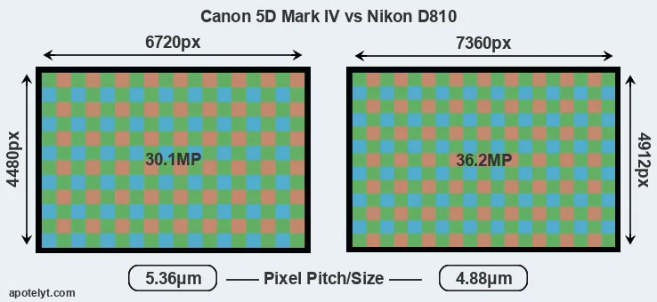 5D Mark IV versus D810 MP