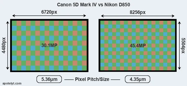5D Mark IV versus D850 MP