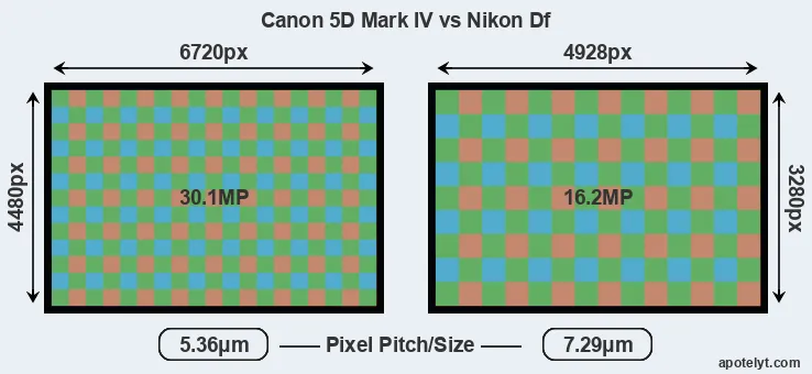 5D Mark IV versus Df MP