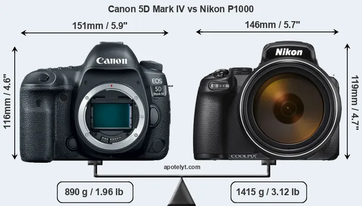 Size Canon 5D Mark IV vs Nikon P1000