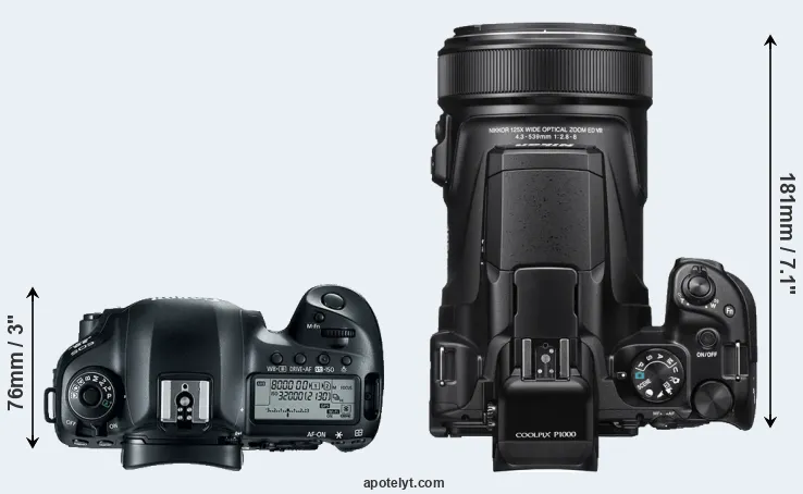 Compare 5D Mark IV versus P1000 top