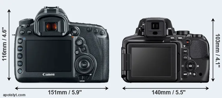 Comparison 5D Mark IV or P900 rear