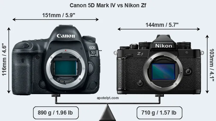 Size Canon 5D Mark IV vs Nikon Zf