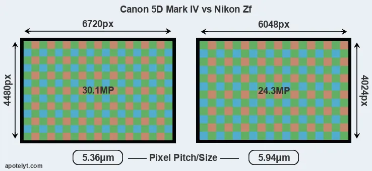 5D Mark IV versus Zf MP