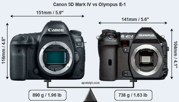 Size Canon 5D Mark IV vs Olympus E-1