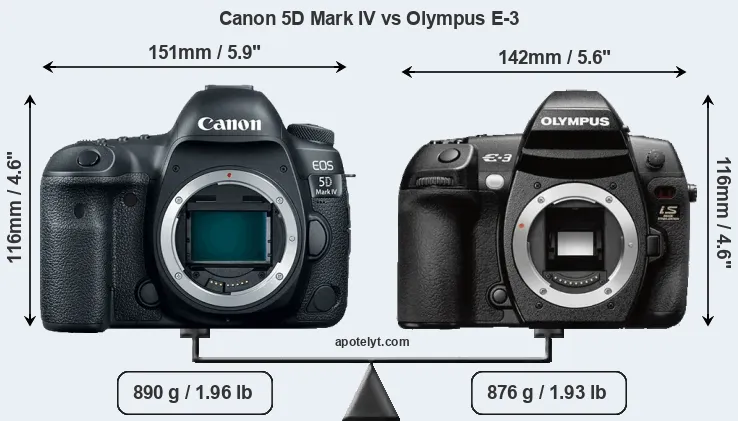 Size Canon 5D Mark IV vs Olympus E-3
