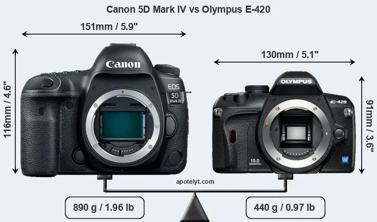 Size Canon 5D Mark IV vs Olympus E-420