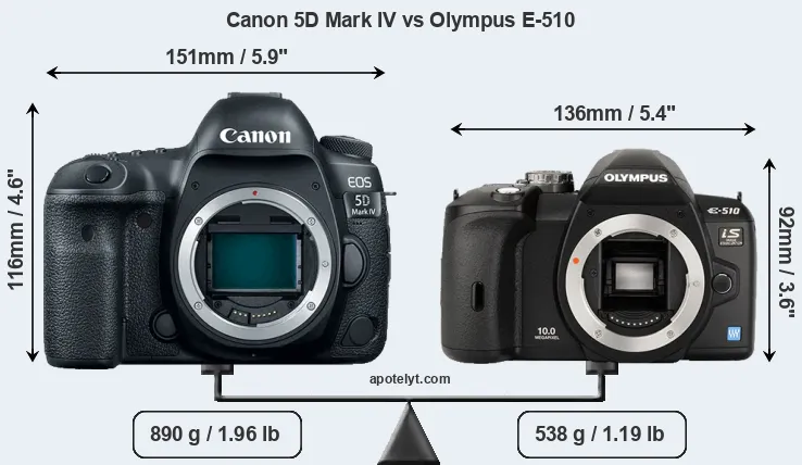 Size Canon 5D Mark IV vs Olympus E-510