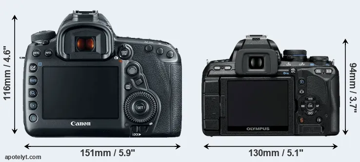 Comparison 5D Mark IV or E-600 rear