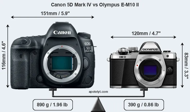 Size Canon 5D Mark IV vs Olympus E-M10 II