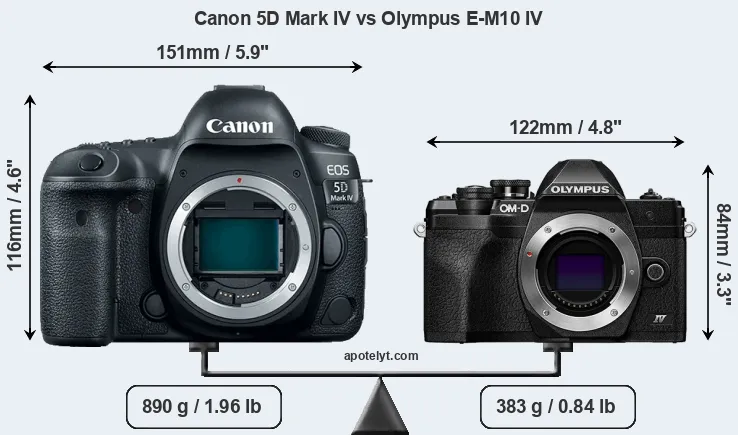 Size Canon 5D Mark IV vs Olympus E-M10 IV