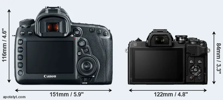Comparison 5D Mark IV or E-M10 IV rear