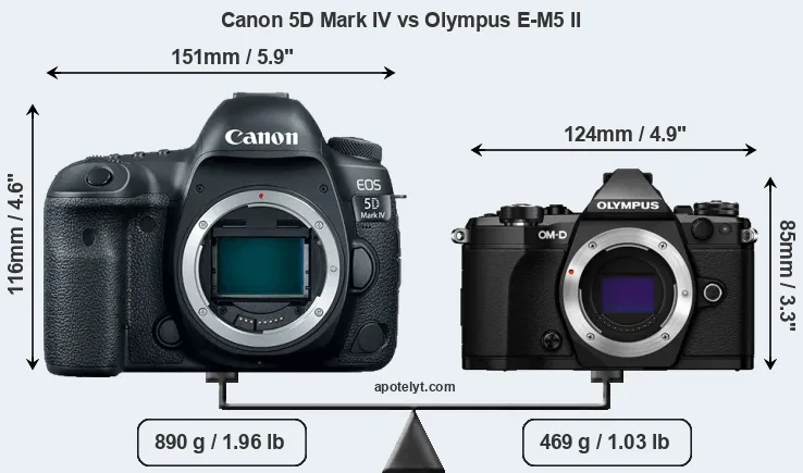 Size Canon 5D Mark IV vs Olympus E-M5 II