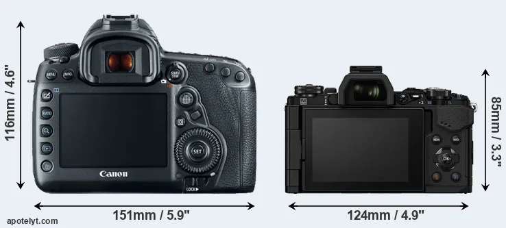 Comparison 5D Mark IV or E-M5 II rear