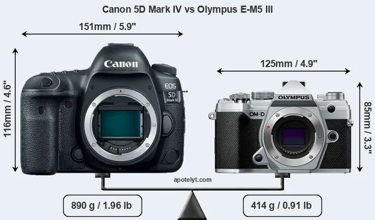 Size Canon 5D Mark IV vs Olympus E-M5 III