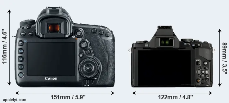 Comparison 5D Mark IV or E-M5 rear