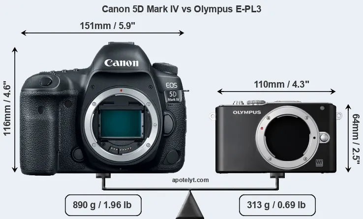 Size Canon 5D Mark IV vs Olympus E-PL3