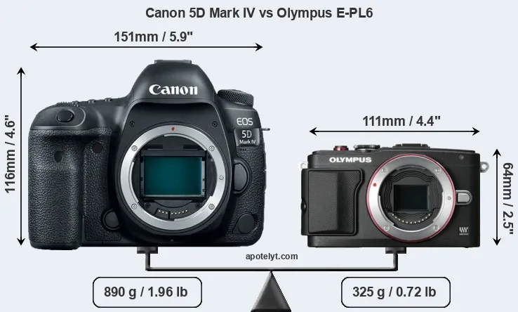 Size Canon 5D Mark IV vs Olympus E-PL6