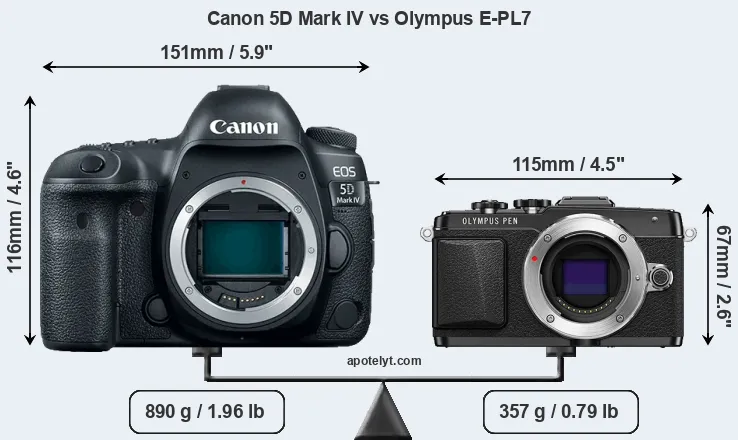 Size Canon 5D Mark IV vs Olympus E-PL7