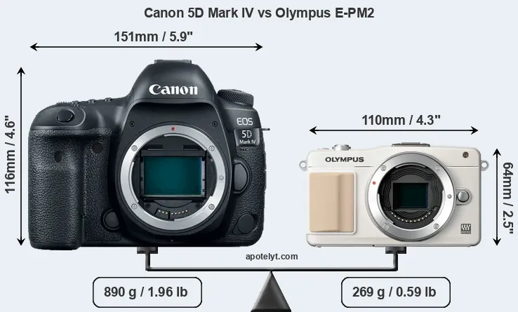 Size Canon 5D Mark IV vs Olympus E-PM2