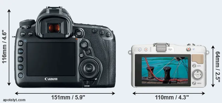 Comparison 5D Mark IV or E-PM2 rear