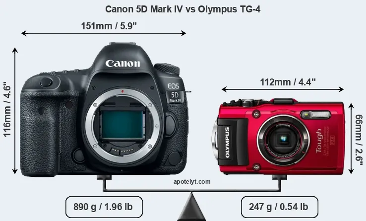 Size Canon 5D Mark IV vs Olympus TG-4