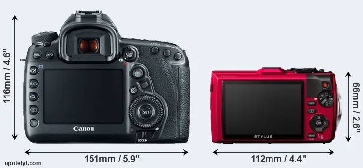 Comparison 5D Mark IV or TG-4 rear