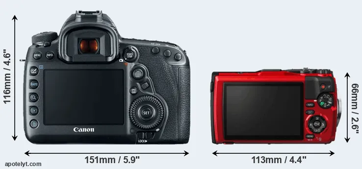 Comparison 5D Mark IV or TG-5 rear