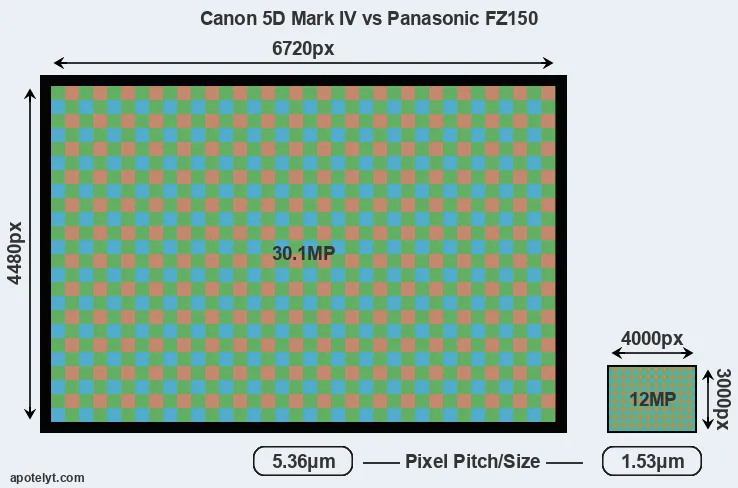 5D Mark IV versus FZ150 MP