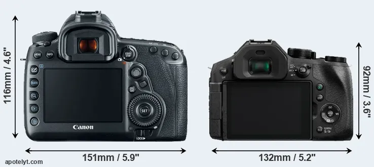 Comparison 5D Mark IV or FZ300 rear