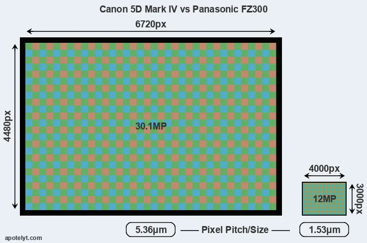 5D Mark IV versus FZ300 MP