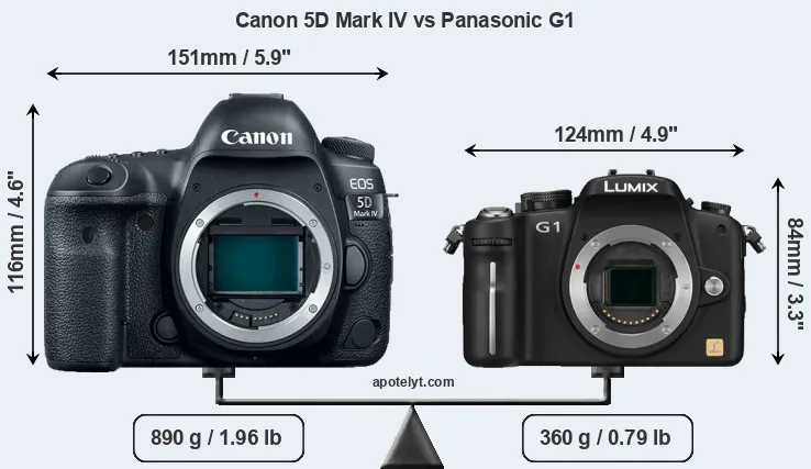 Size Canon 5D Mark IV vs Panasonic G1