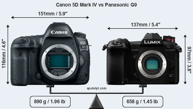Size Canon 5D Mark IV vs Panasonic G9