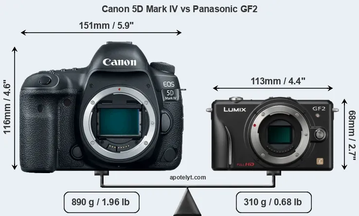 Size Canon 5D Mark IV vs Panasonic GF2