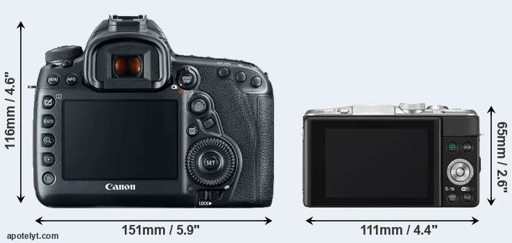 Comparison 5D Mark IV or GF6 rear