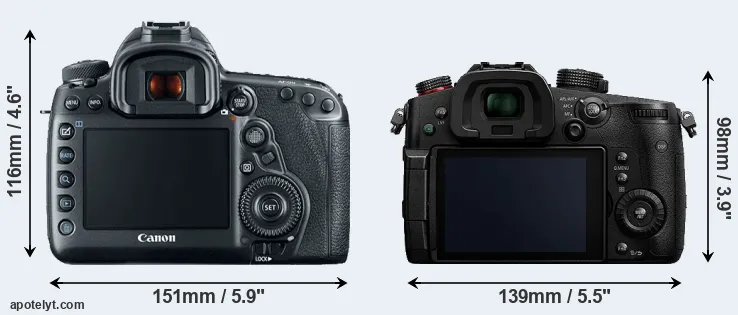 Comparison 5D Mark IV or GH5s rear