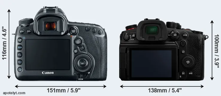 Comparison 5D Mark IV or GH6 rear