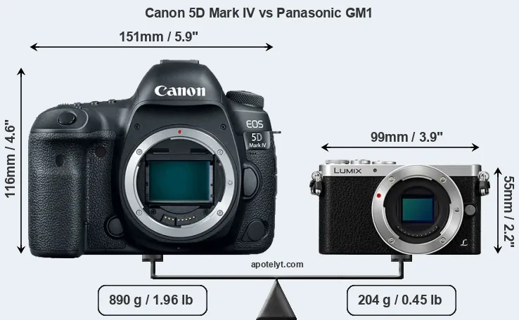 Size Canon 5D Mark IV vs Panasonic GM1