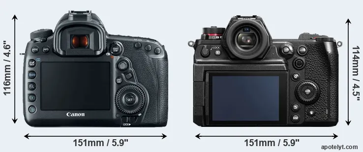 Comparison 5D Mark IV or S1H rear