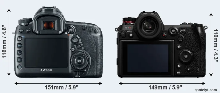 Comparison 5D Mark IV or S1R rear