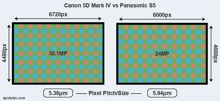5D Mark IV versus S5 MP