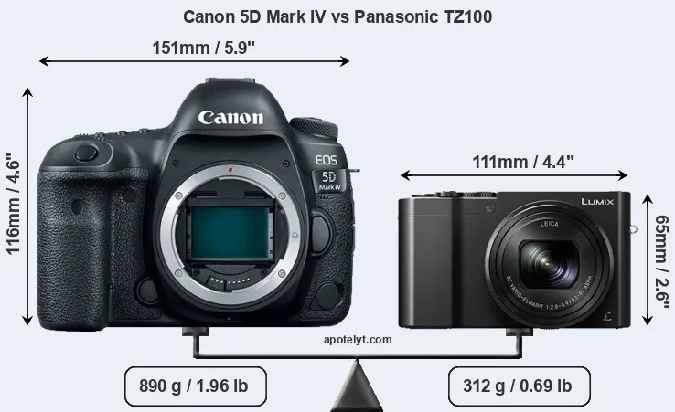 Size Canon 5D Mark IV vs Panasonic TZ100
