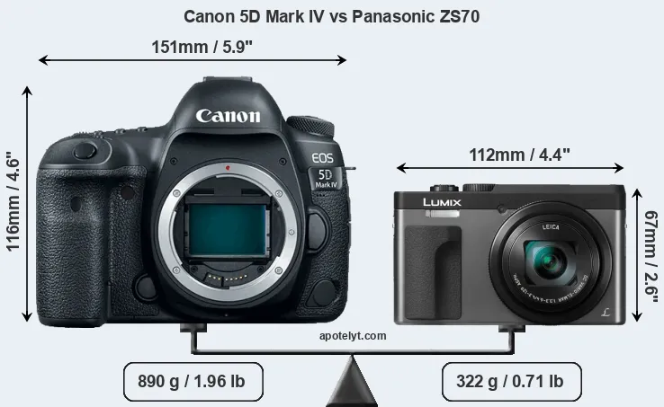 Size Canon 5D Mark IV vs Panasonic ZS70
