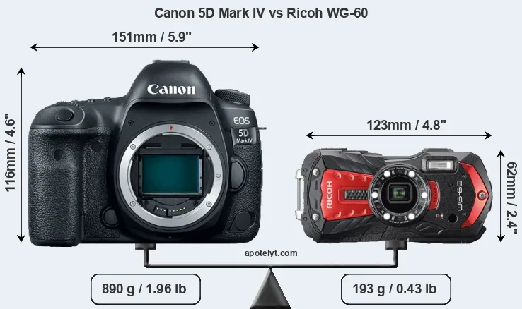 Size Canon 5D Mark IV vs Ricoh WG-60