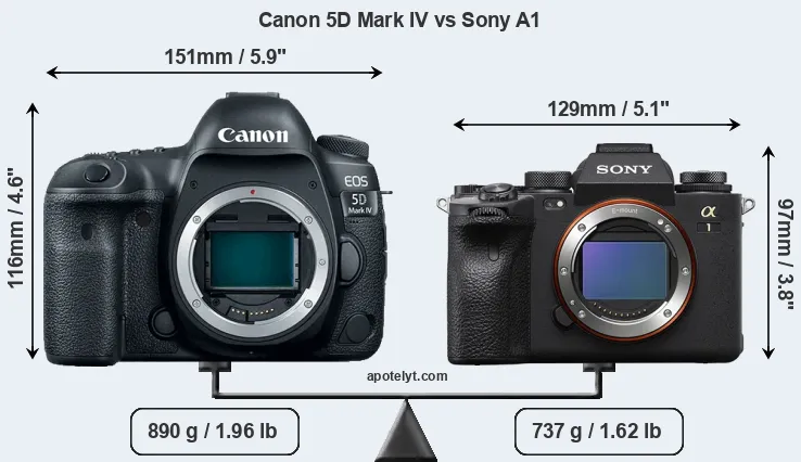 Size Canon 5D Mark IV vs Sony A1