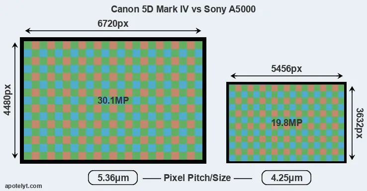 5D Mark IV versus A5000 MP