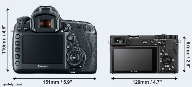 Comparison 5D Mark IV or A6600 rear