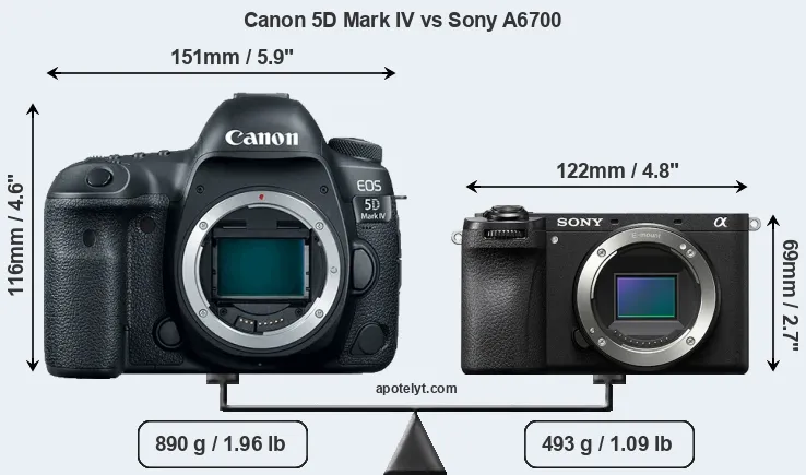 Size Canon 5D Mark IV vs Sony A6700